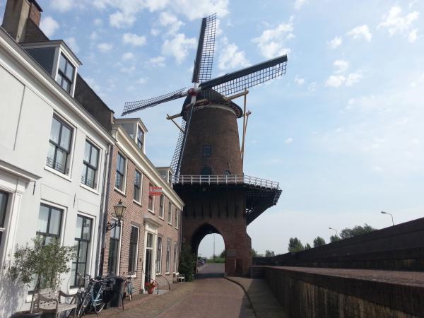 Drive Through Windmill Wijk bij Duurstede