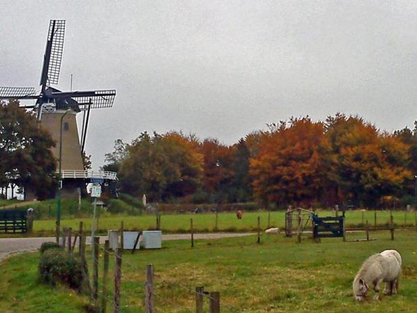 Windmill de Windhond (Greyhound) Soest