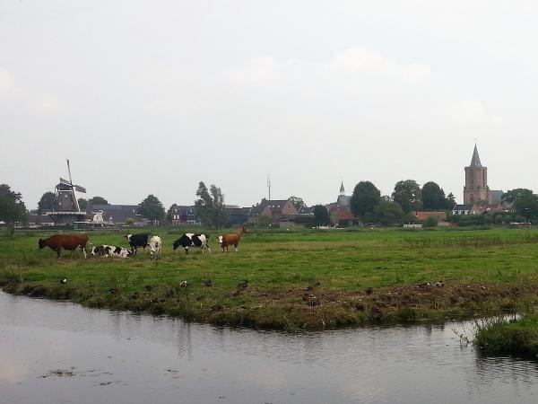 Bunschoten Town Pastures