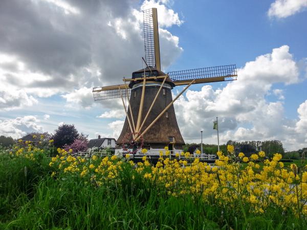 Westbroek Windmill