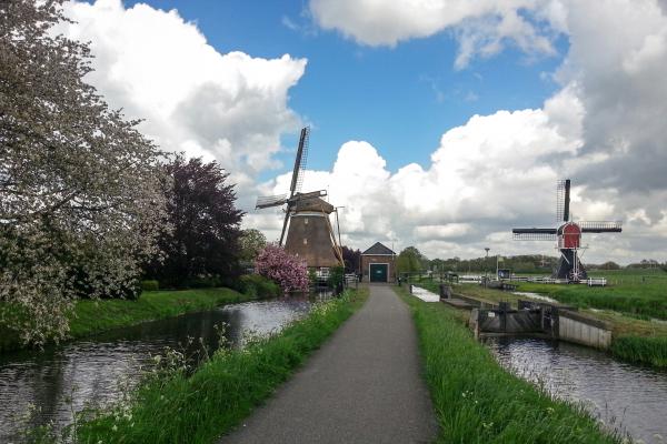 Windmills Oud Zuylen